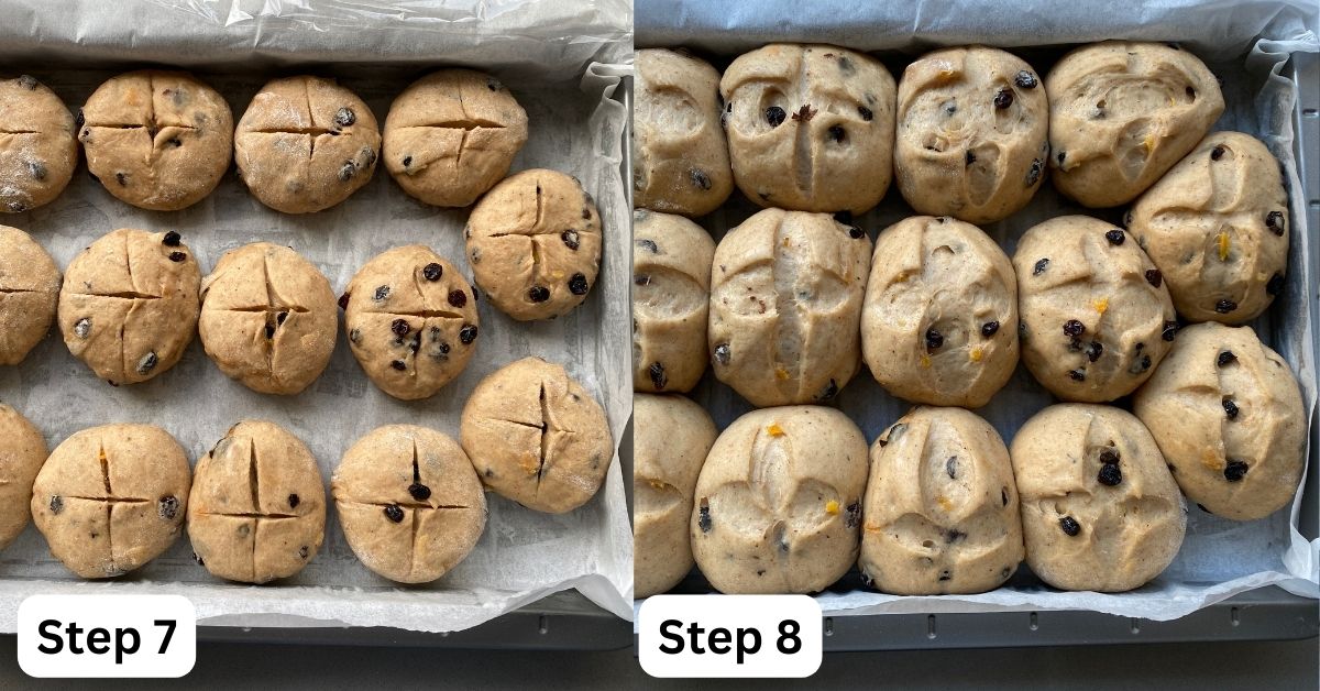 Hot cross buns in a baking tray ready to bake.